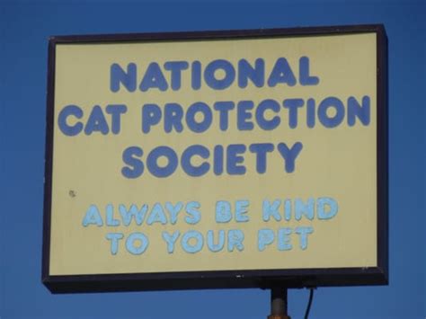 natcet|national cat protection newport beach.